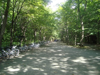 おはよう橋マラソン③