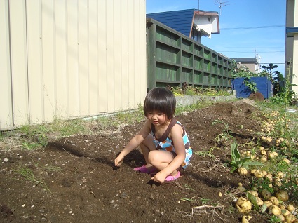 芋ほり